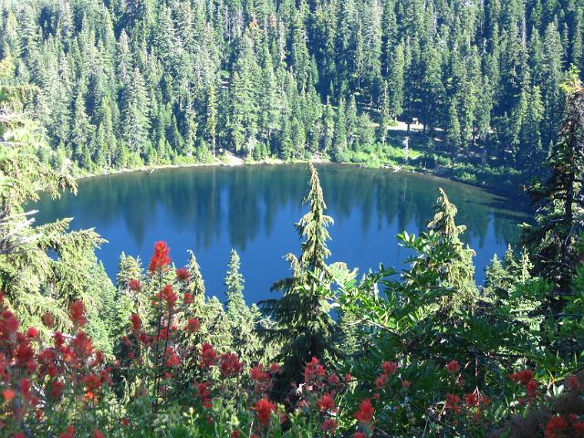Bolan Mt & Redwoods-121.JPG - Bolan Lake